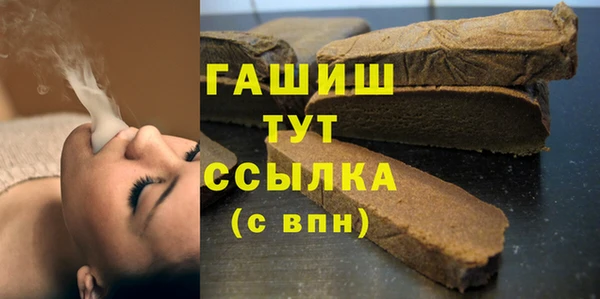 mix Инта