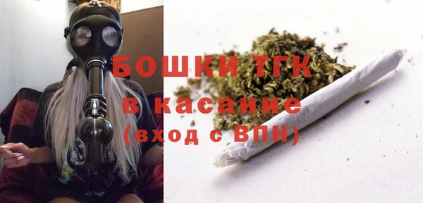 mix Инта