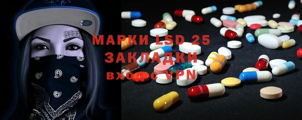 ECSTASY Инсар