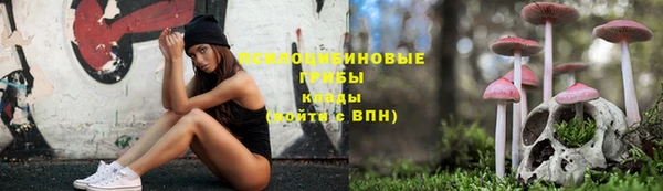 герыч Иннополис