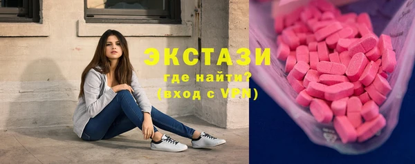 ECSTASY Инсар