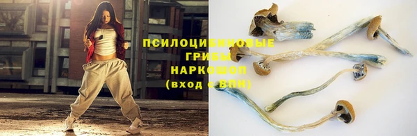 mix Инта