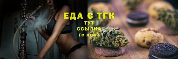 mix Инта