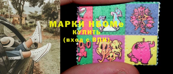 mix Инта