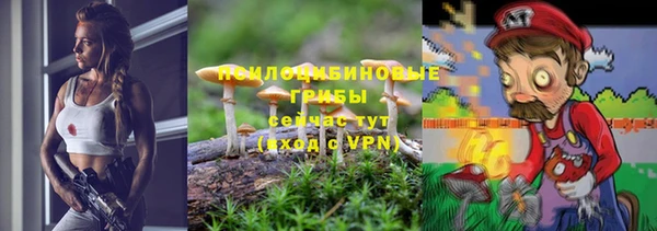 герыч Иннополис