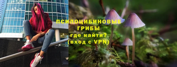 mix Инта
