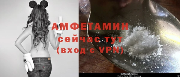 mix Инта